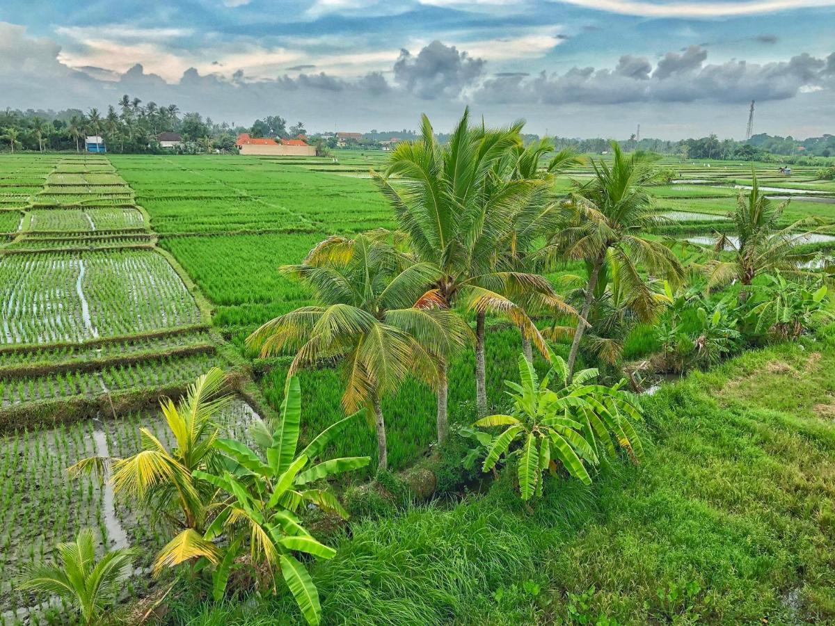 Swell Hotel, Pool Bar & Restaurant Tanah Lot Esterno foto